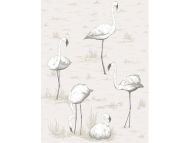 Cole & Son WP: Contemporary Restyled Flamingos 95/8046.CS.0 Charcoal/White