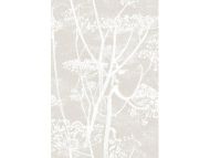 Cole & Son WP: Contemporary Restyled Cow Parsley 95/9051.CS.0 Linen/White