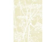 Cole & Son WP: Contemporary Restyled Cow Parsley 95/9053.CS.0 Straw/White