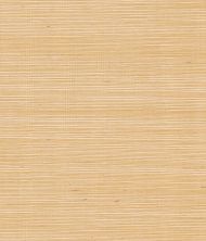 York Maguey Sisal in Metallic Gold GV0111NW