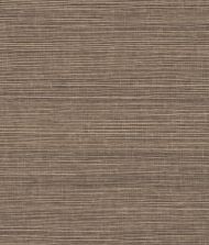 York Maguey Sisal in Gold & Charcoal VG4408NW