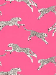 Scalamandre: Leaping Cheetah Cotton Print SC 0003 16634 Bubblegum