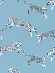 Scalamandre: Leaping Cheetah Cotton Print SC 0004 16634 Cloud Nine